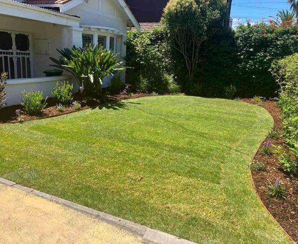 Curved timber garden edges with premium kikuyu grass in Elwood.